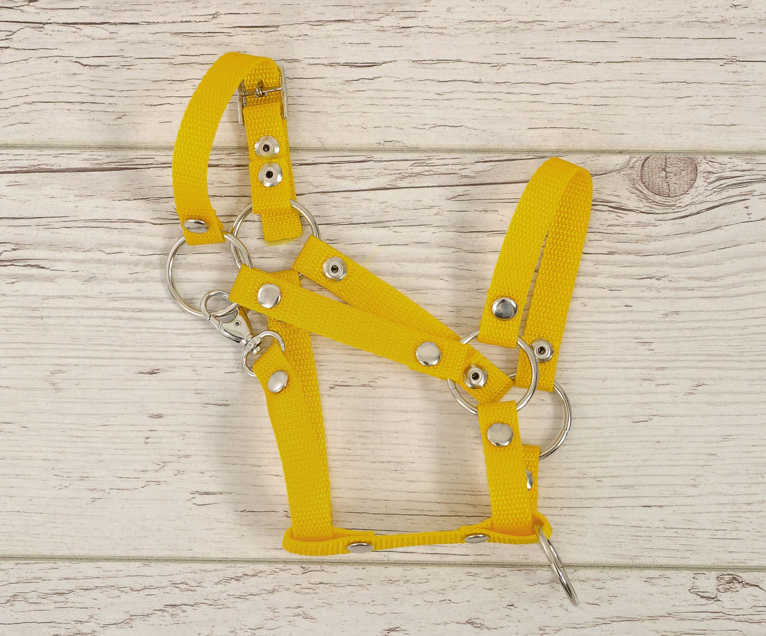 Verstelbare halster voor Hobby Horse A3 - paardenhalster - optimale pasvorm - geel