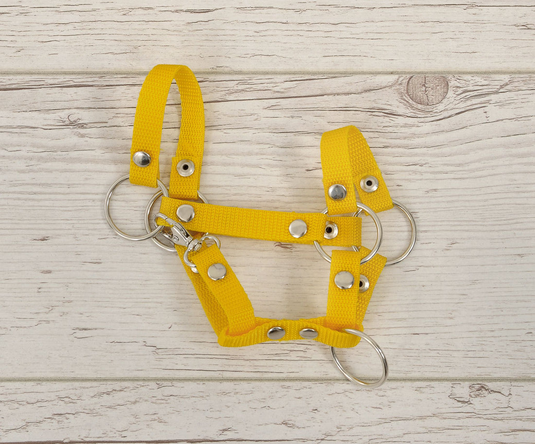 Hobby Horse grimma - nylongrimma för häst - lätt och hållbar, enkel att fästa