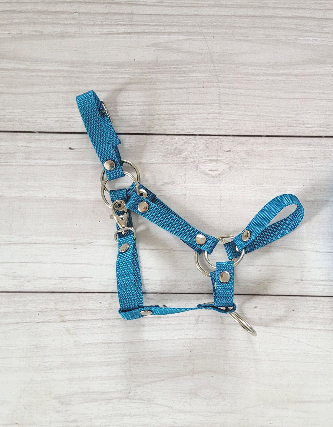 Verstelbare halster - paardenhalster - stevig nylon, optimale pasvorm voor Hobby Paard A3