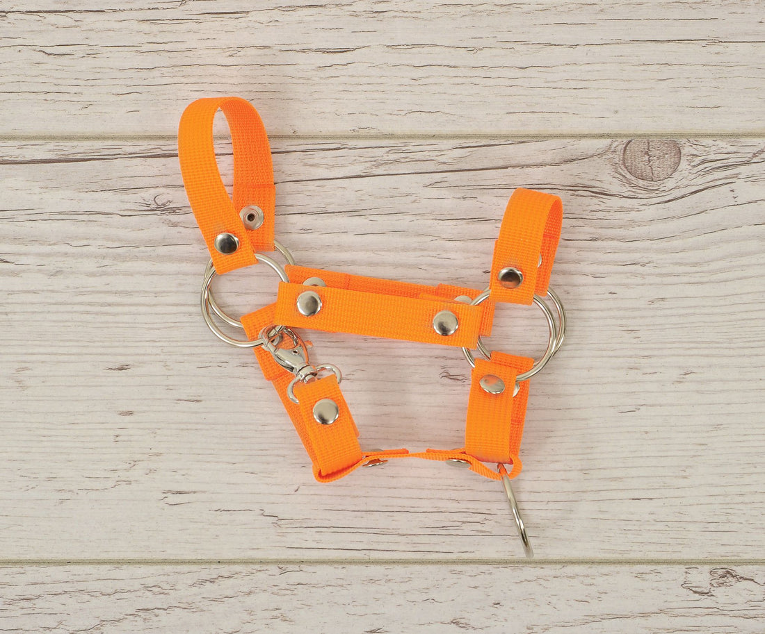 Grimma för hobbyhäst, hästgrimma, robust och smutsavvisande - neonorange - storlek A4 liten