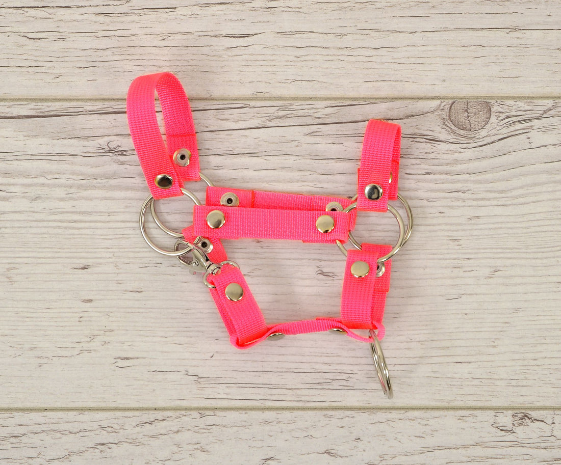 Käpphästgrimma, miniträns för hästar, praktiskt och smutsavvisande neonrosa, A4 litet