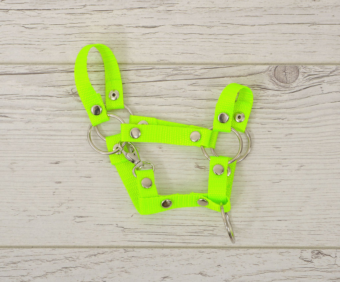Hobby Horse Halter - hästgrimma - slitstark neonväv, robust och smutsavvisande