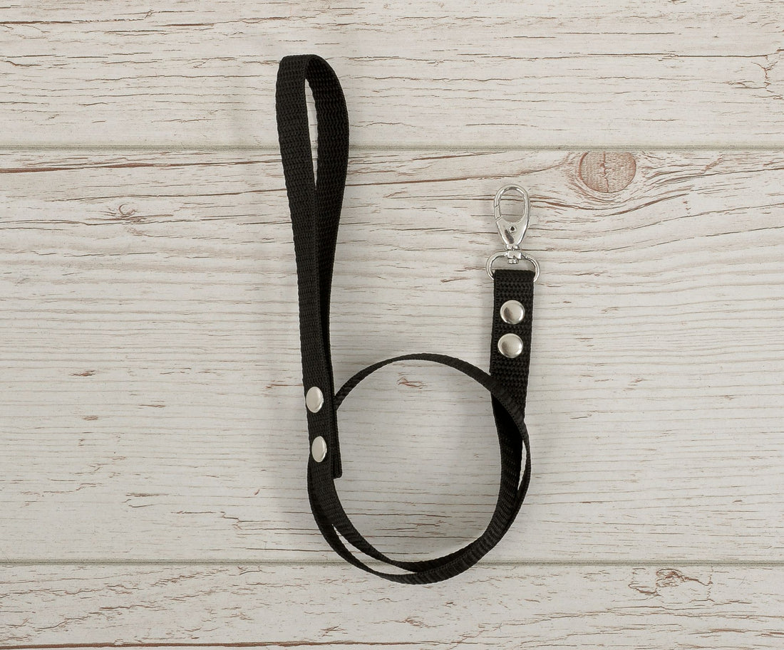 Sena för hobbyhäst, koppel – slitstarkt band, svart, med karbinhake för extra grepp