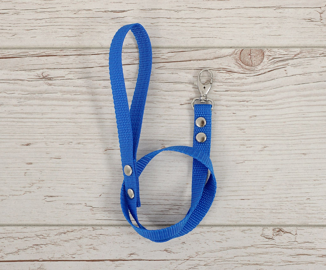 Blå ridpiska, hästpiska, slitstark och lättanvänd – vävband – 64,5 cm