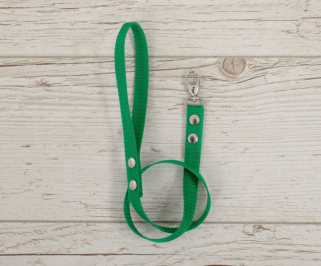 Tether voor hobby paard - bevestigingslijn - duurzaam & vuilafstotend, 64,5 cm, groen