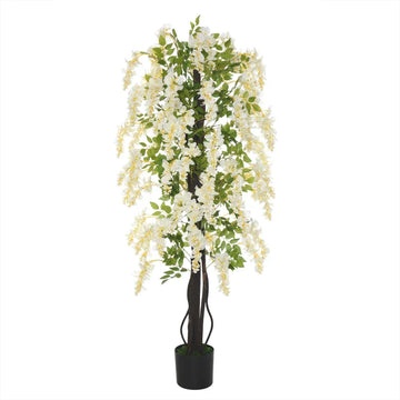 Kunstwisteria met witte bloemen - Kunstplant | Kleur: Wit + Groen | Afmetingen: 24x24x165 cm
