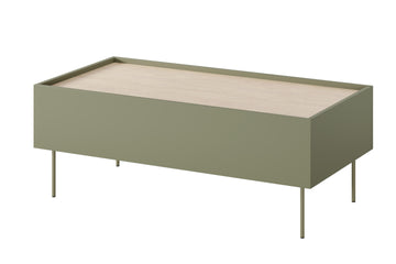 Desin Salontafel 120 cm met lades en metalen poten | Kleur: Olijf/Nagano Eiken | Maat: 120x45x60 cm