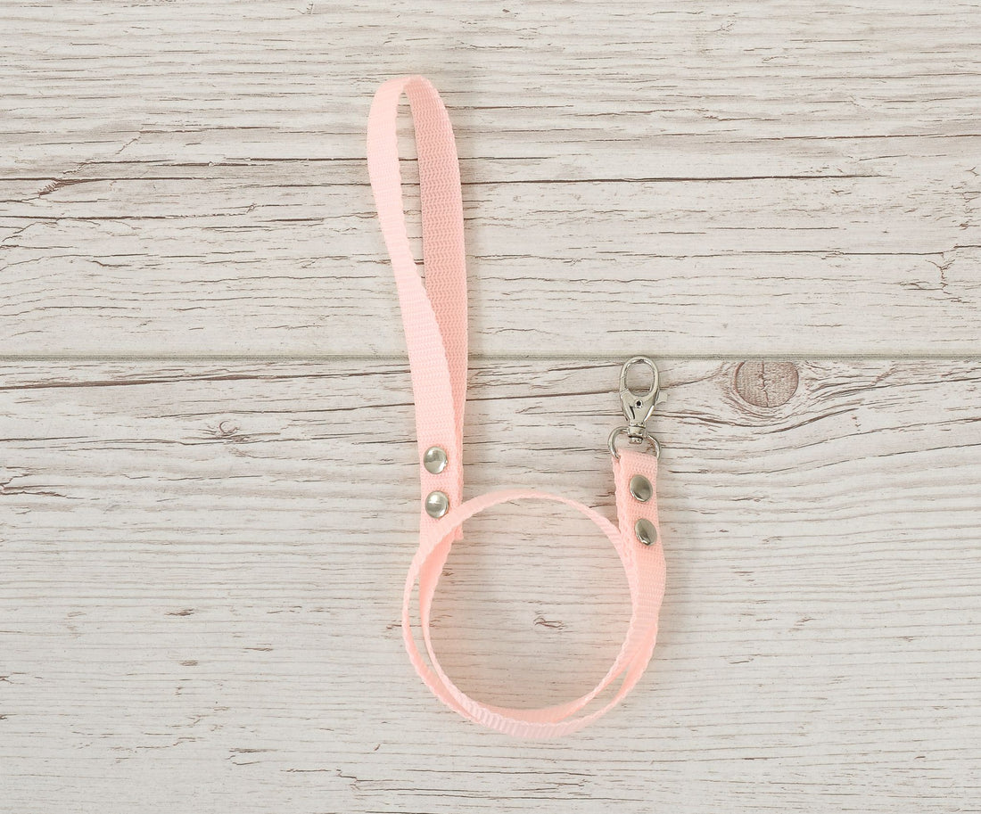 Koppel för stickade hundar - vävband - robust och smutsavvisande